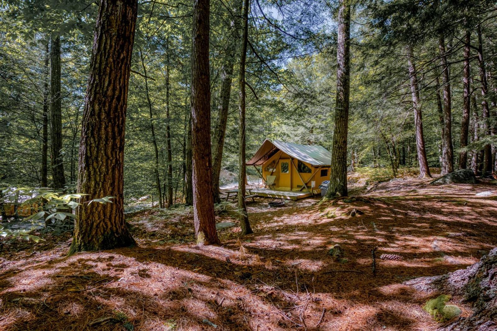 Huttopia White Mountains Albany Kültér fotó